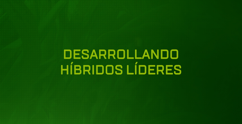 Híbridos líderes