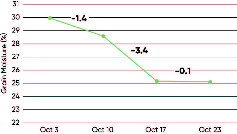 Average grain moisture across all trial locations and hybrids on the four moisture sampling dates.