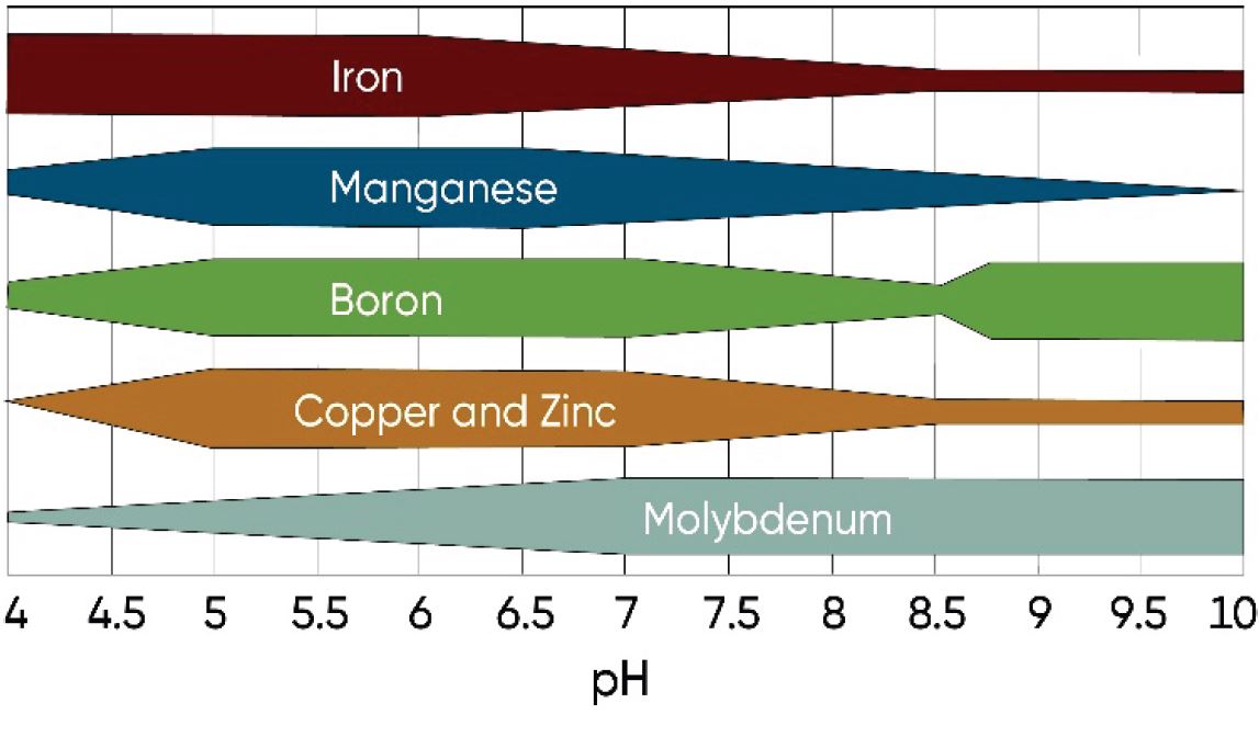 Relative availability of micronutrients by soil pH1