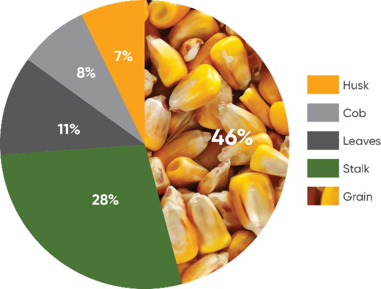 Silage yield components.