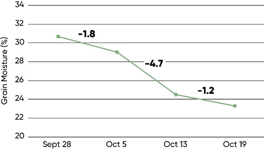 Average grain moisture across all trial locations and hybrids on the four moisture sampling dates