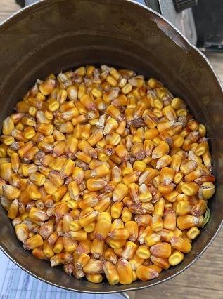 corn