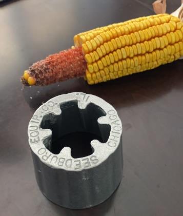 corn