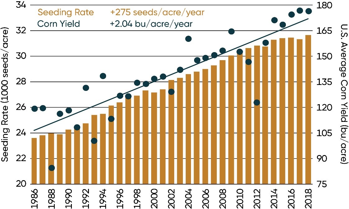 Average corn seeding rates reported by growers in North America