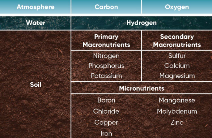 Sources of the sixteen nutrients essential for crop production.