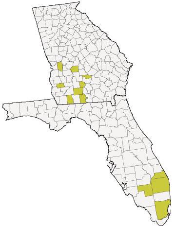 Counties with confirmed or suspected incidence of tar spot, as of October 2021.