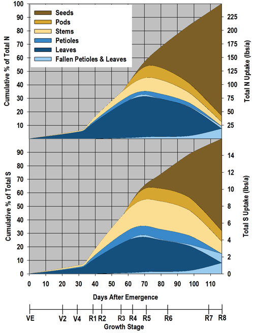 Layout of waterhemp treatment trial plots in soybeans
