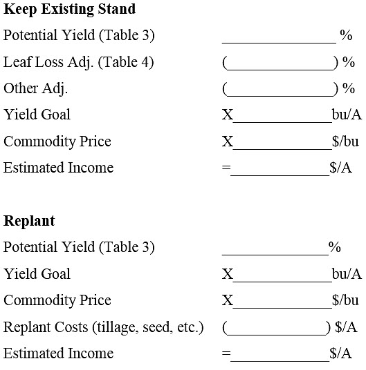 Corn Decision Worksheet
