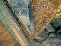 Seed tube guards
