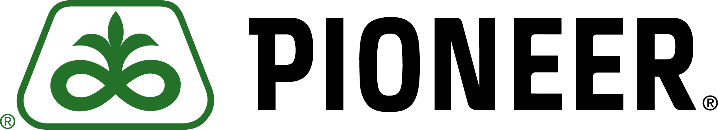 Pioneer Logo