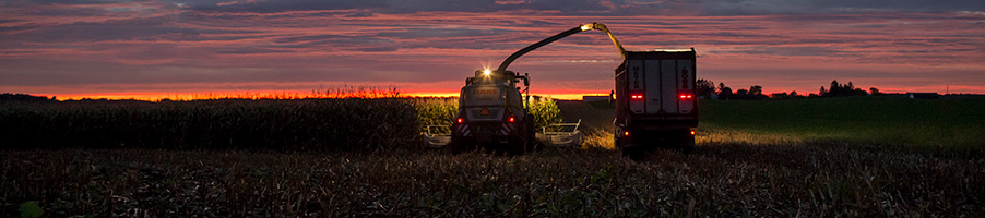 Corn silage harvest operation - evening