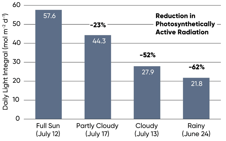 Chart - Daily PAR received under rainy, cloudy and sunny conditions on four different days in summer.