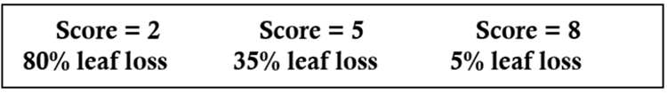 Illustration - Pioneer scoring system for NCLB.