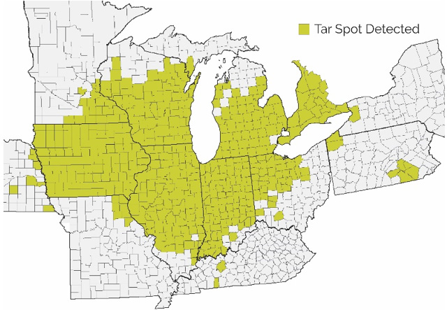 Map - U.S. Counties in the Corn Belt with confirmed incidence of tar spot, 2015-2021 - as of October 2021.
