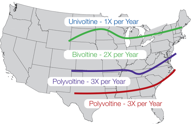 Map - U.S. - European corn borer generations per year.
