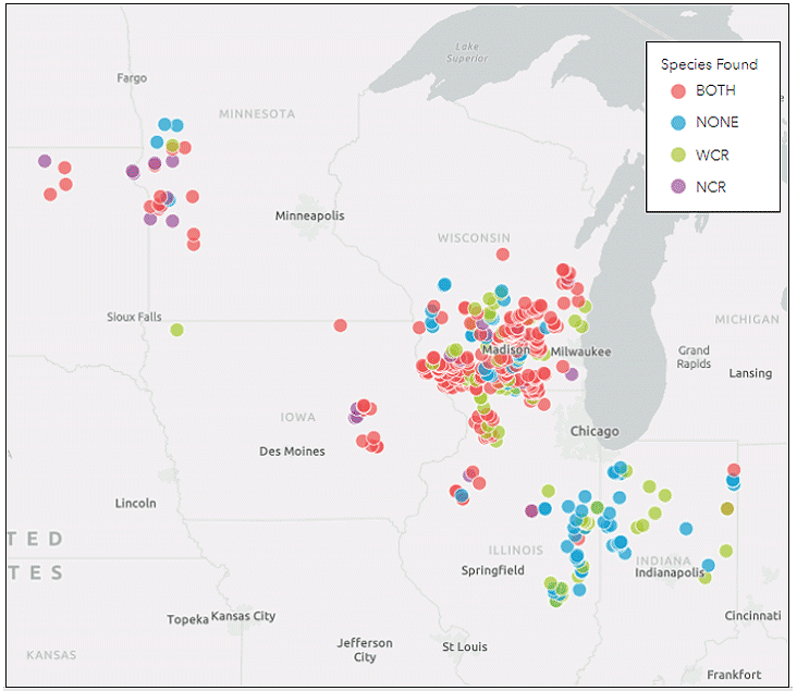 Map - CRW species found at trapping locations in 2022.