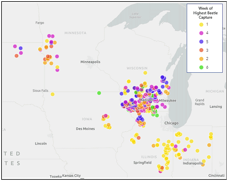 Map - Week of highest CRW beetle count at 2022 trapping locations.
