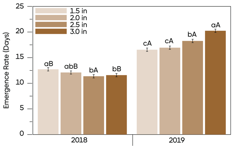 Bar Chart - Planting depth effects on corn emergence rate by year.