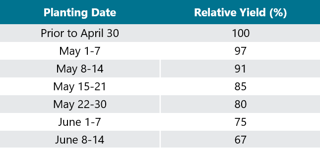 Table - Delayed corn planting effects on corn yield in an 8-year study at Marianna Arkansas.