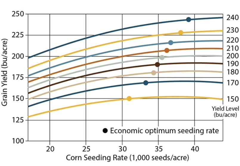 Graph - Corn grain yield response to seeding rate at nine yield levels.