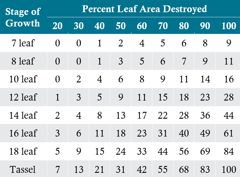 Table showing estimated percent yield reduction due to defoliation at various stages of growth.