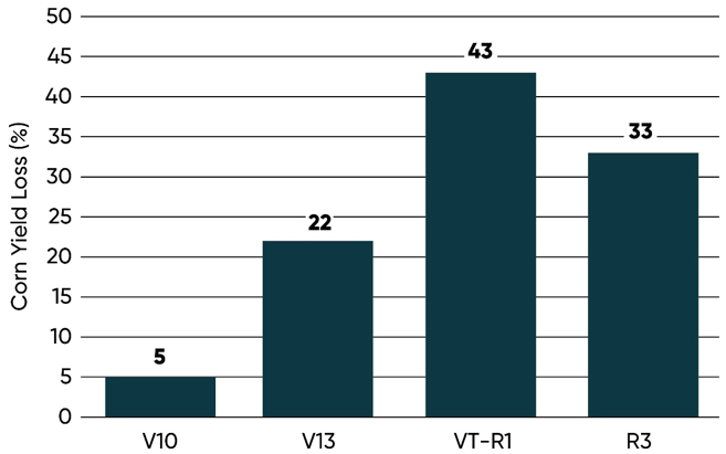 Yield loss associated with root lodging at different corn development stages in a 3 year Ohio State University study.