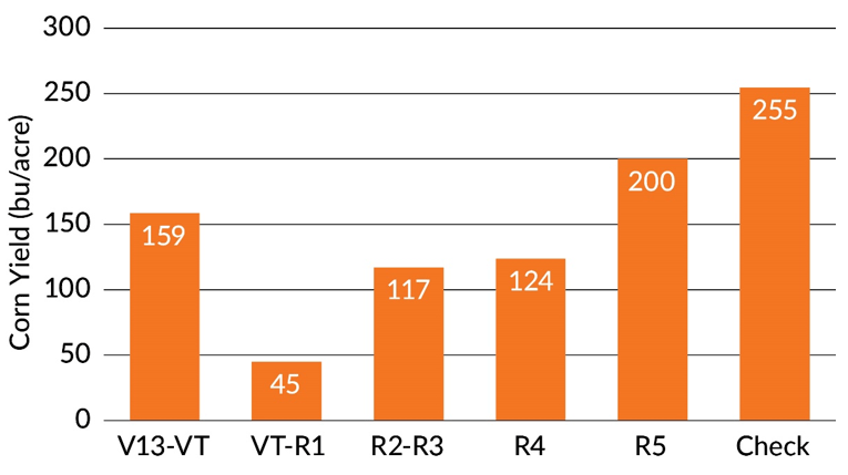 Chart - Shade treatment effects on corn yield.