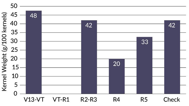 Chart - Shade treatment effects on corn kernel weight.