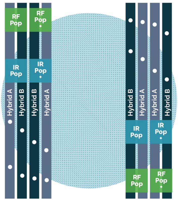 On-farm 2019 experiment design - rainfed and irrigated treatments with normal population and increased population for two hybrids.