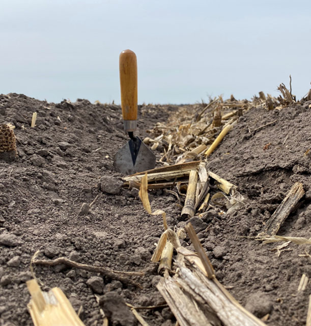 Photo - row in field before planting - A dry winter led to dry planting conditions.