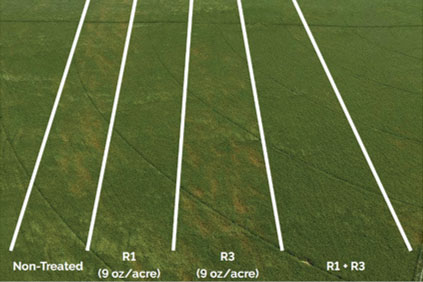 Corteva Agriscience on-farm fungicide research trial near Orchard, NE comparing Aproach fungicide applied at R1 R3 and R1-R3 growth stages.