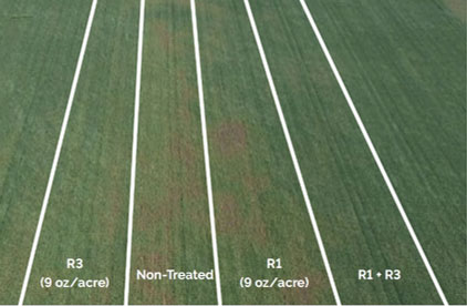 Corteva Agriscience on-farm fungicide research trial near Edgar WI comparing Aproach fungicide applied at R1 R3 and R1-R3 growth stages.