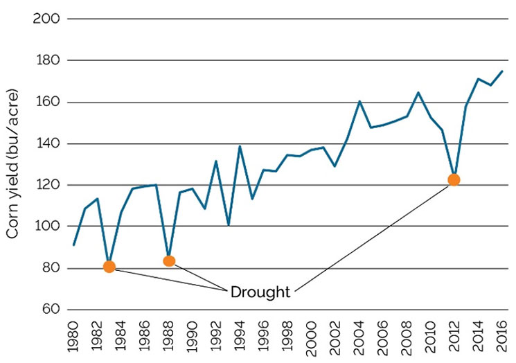Graph - Average U.S. corn yield, 1980-2016.