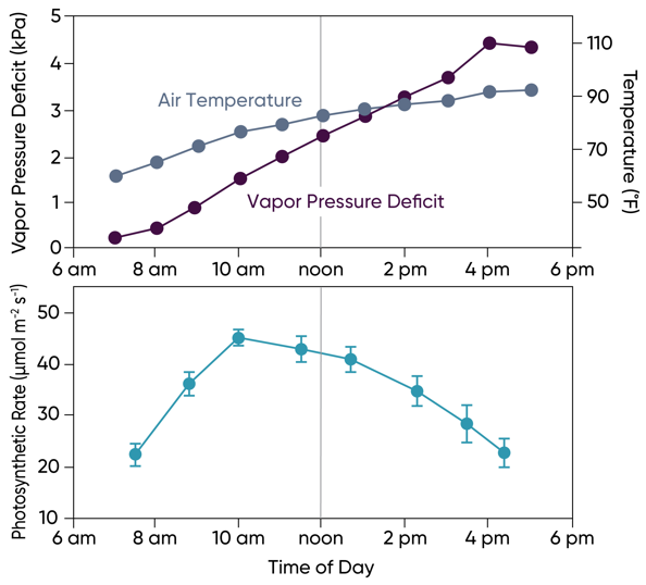 Air temperature - atmospheric vapor pressure deficit - and leaf photosynthetic rate in irrigated corn over the course of a day.