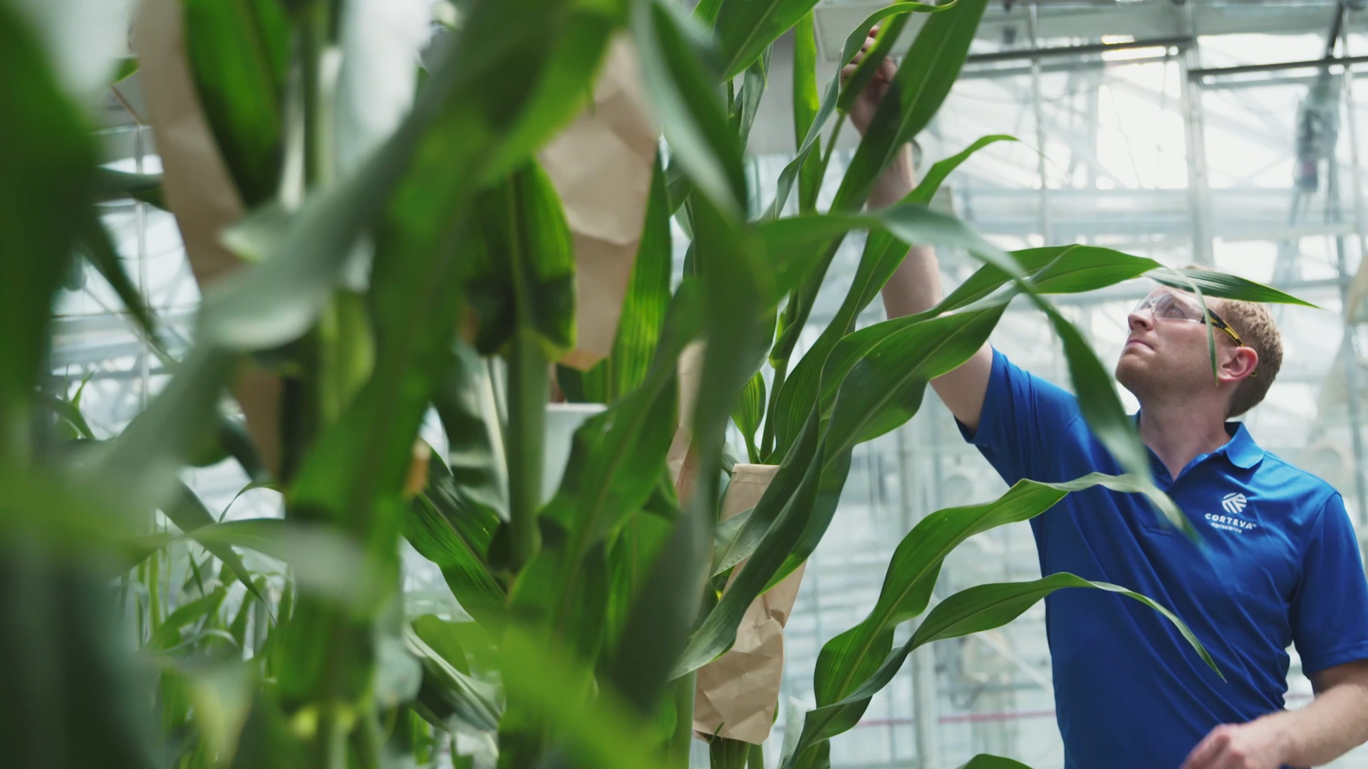 Pioneer Research: Taking Seed Science to the Next Level