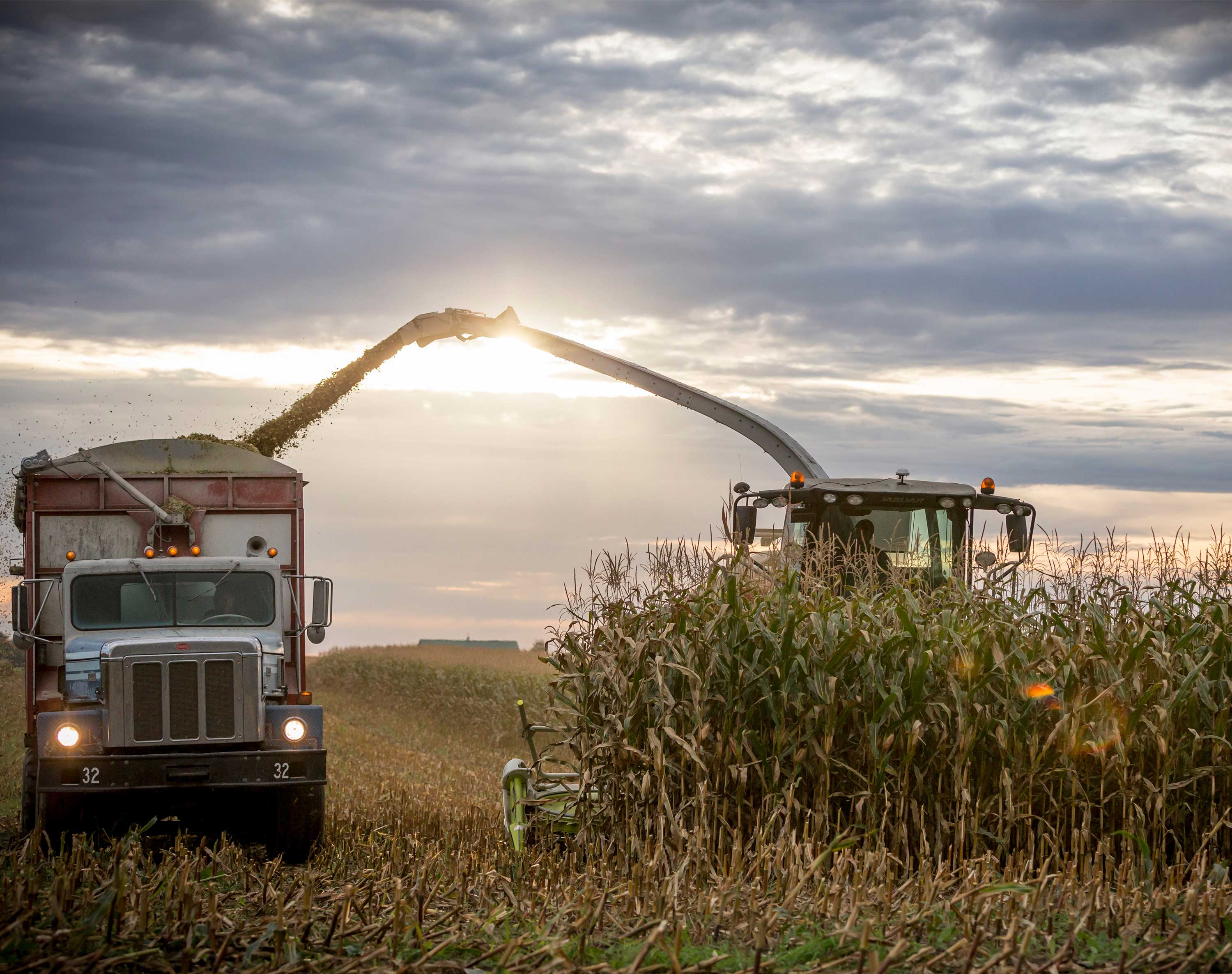 Silage Staging Tool from Pioneer