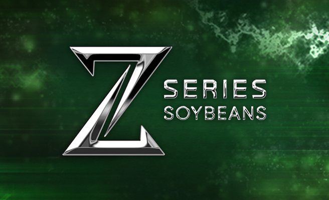 Pioneer Brand Z-series Soybeans
