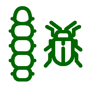 ID and management guides for insects and diseases