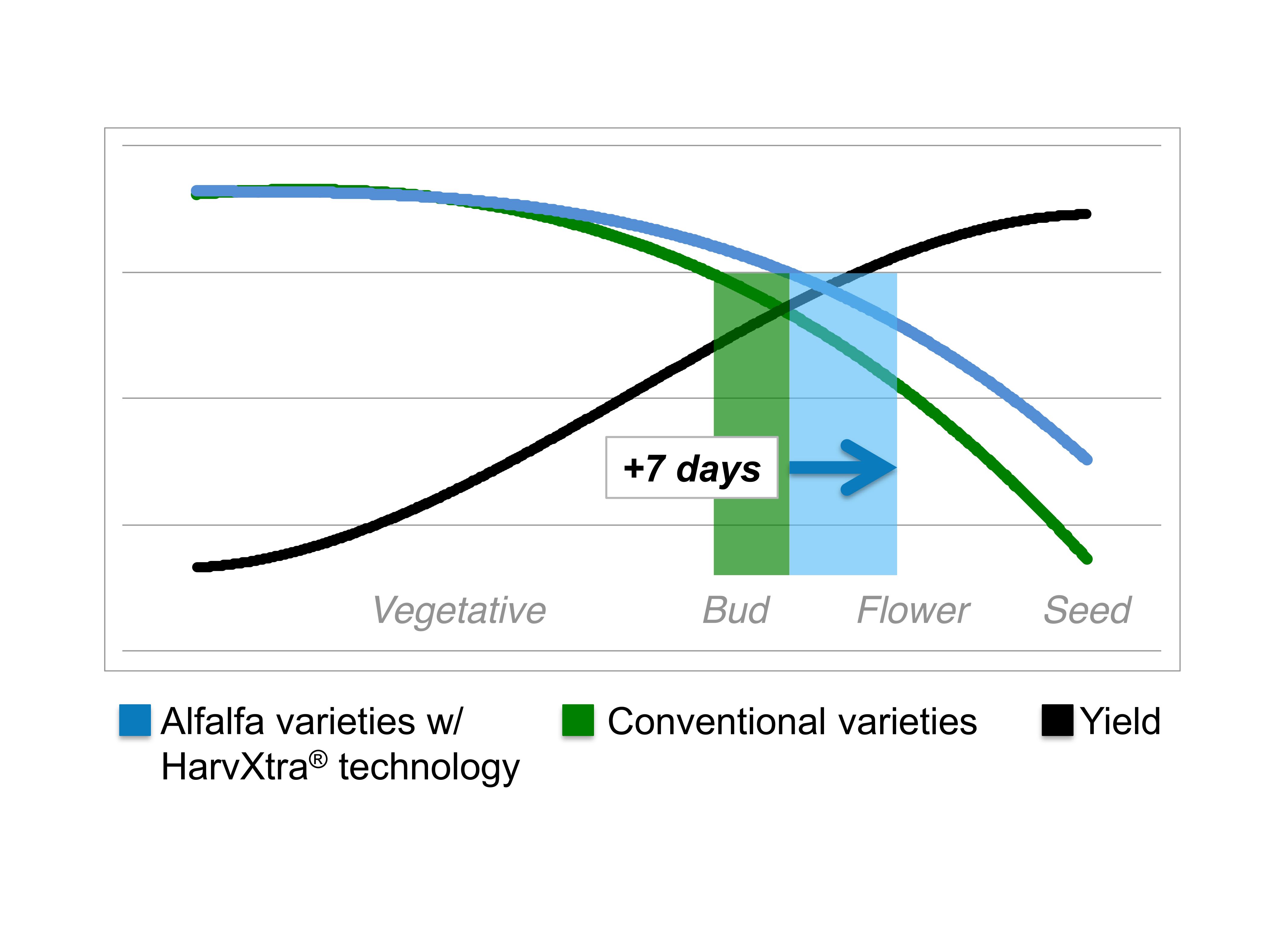 Harvest can be delayed by seven to 10 days for increased tonnage without sacrificing quality.